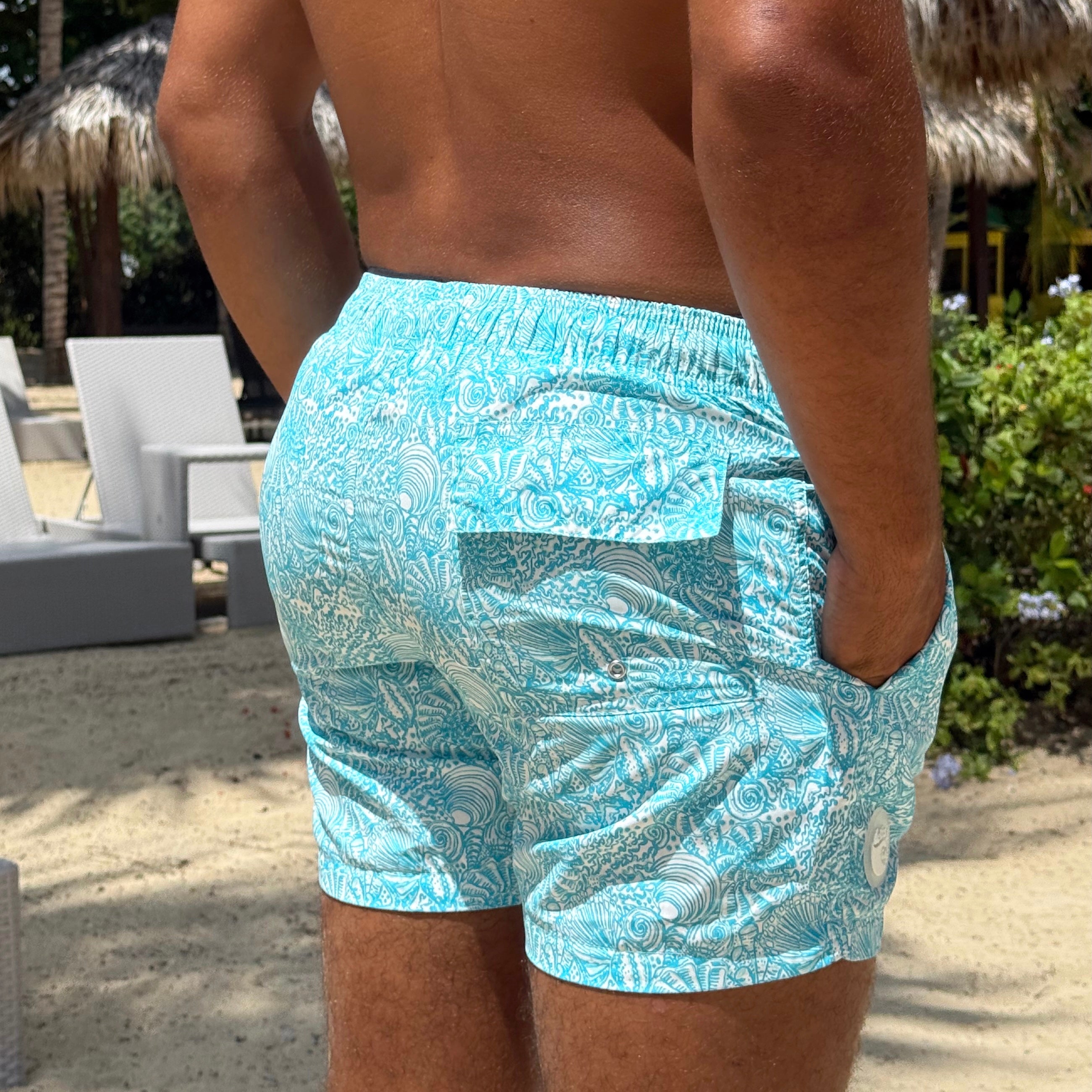 Isla Mens Swim Shorts